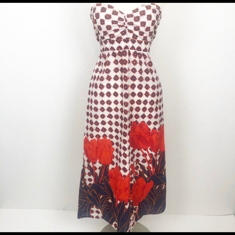 ANTHROPOLOGIE Maeve Tulip Fields Maxi Dress 6